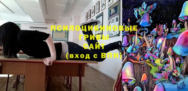 мдма Богородицк