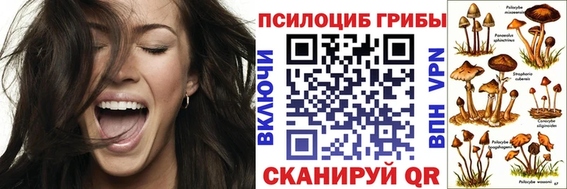 кракен как войти  Михайлов  Псилоцибиновые грибы Magic Shrooms 